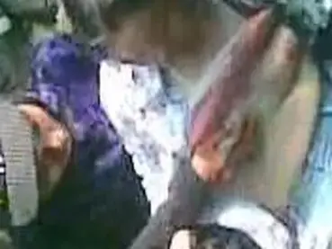 Petualangan Romantis Sejoli Di Area Hutan